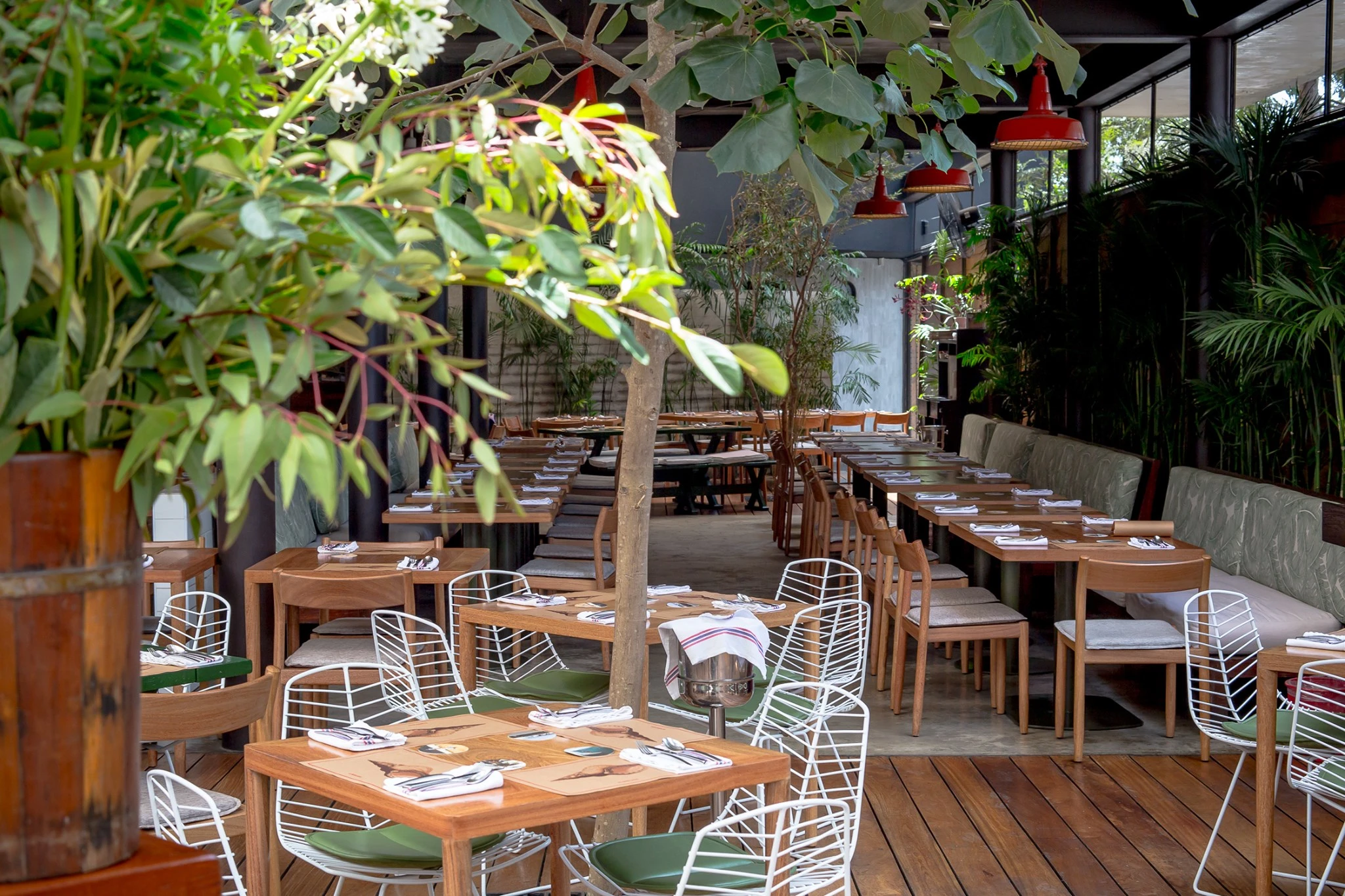 Terraza de restaurante con plantas.